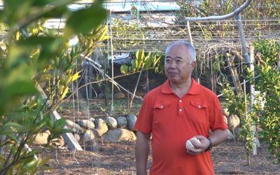 大年初一《勤耕福田 做人生的執行長》 大年初一《勤耕福田 做人生的執行長》