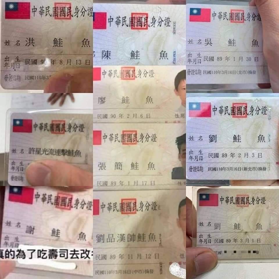 「陳吃飽太閒」鮭魚之亂瞎起哄!議員批陳其邁乾脆改名 「陳吃飽太閒」鮭魚之亂瞎起哄!議員批陳其邁乾脆改名