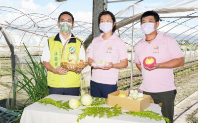 創新育成進駐廠商 江聰淵推銷采福好田香瓜好甜 創新育成進駐廠商 江聰淵推銷采福好田香瓜好甜