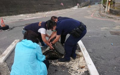 颱風巨浪挾帶垃圾上岸　基警管制維護安全
