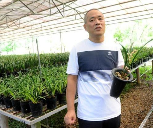 利用台資居大陸地級市之首 漳州閩臺農業融合發展 利用台資居大陸地級市之首 漳州閩臺農業融合發展