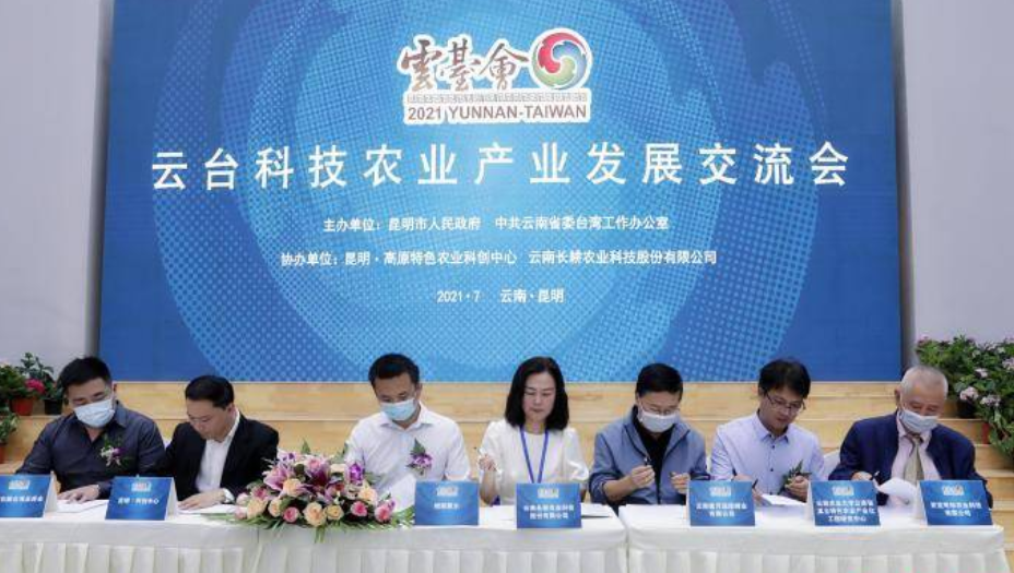 兩岸農業專家聚首昆明 共商科技農業發展新未來 兩岸農業專家聚首昆明 共商科技農業發展新未來