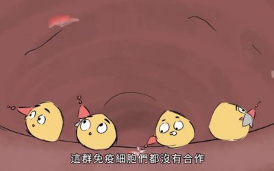 中西醫院長級防疫聯盟 打造身心平衡防護罩 中西醫院長級防疫聯盟 打造身心平衡防護罩