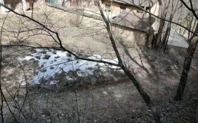 今年參加中考的兒子／張國強