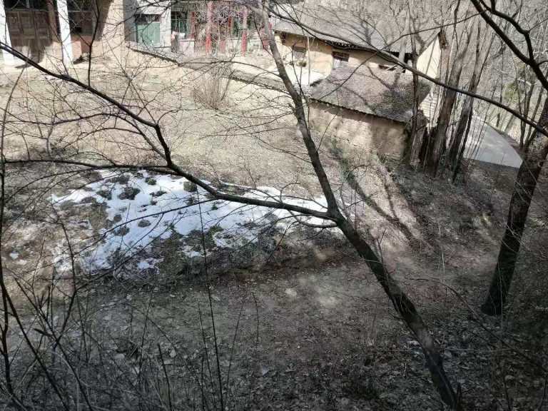 今年參加中考的兒子／張國強