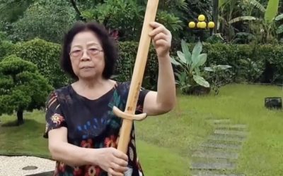 捍衛民主與人權！　南臺灣民眾持「正義之劍」直指違法檢察官