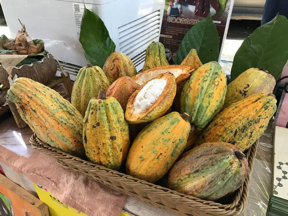 農村素材永遠超越想像 返鄉務農印象朱古力顛覆傳統 農村素材永遠超越想像 返鄉務農印象朱古力顛覆傳統