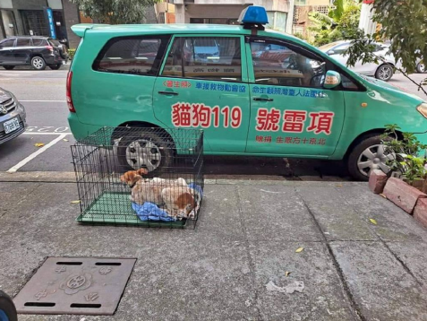 年底捐款抵稅救浪浪 還40天幫毛孩子做愛心 年底捐款抵稅救浪浪 還40天幫毛孩子做愛心