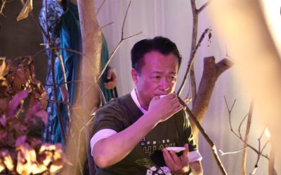 高山茶都打卡踩點　「茶x音樂」山水光影翻玩茶文化體驗
