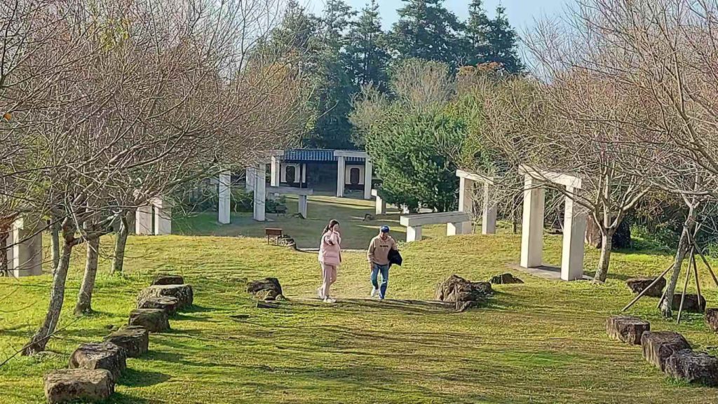 嘉義賞櫻盛地櫻海怒放 阿里山公路沿線美極了 嘉義賞櫻盛地櫻海怒放 阿里山公路沿線美極了