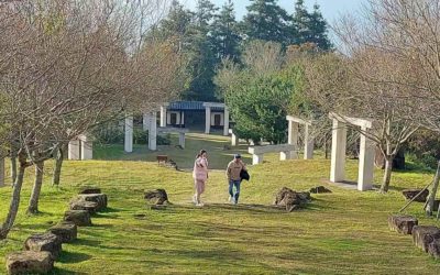 嘉義賞櫻盛地櫻海怒放　阿里山公路沿線美極了