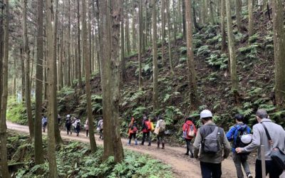 林場作業知性體驗　歡迎報名參加￼