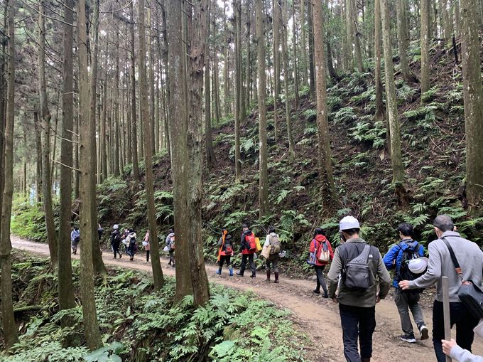 林場作業知性體驗 歡迎報名參加 林場作業知性體驗 歡迎報名參加