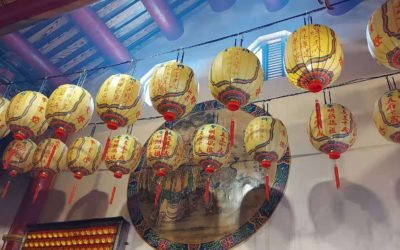 明朝媽祖允諾常駐小鳥不怕人　400年魍港太聖宮人鳥同處