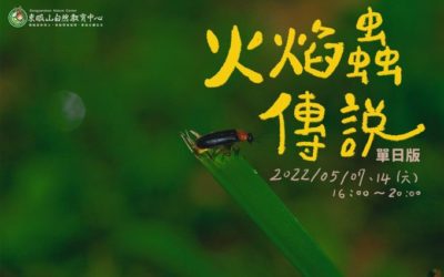 東眼山火焰蟲傳說 3月29日開放報名 東眼山火焰蟲傳說 3月29日開放報名
