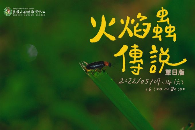 東眼山火焰蟲傳說 3月29日開放報名 東眼山火焰蟲傳說 3月29日開放報名