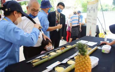 鳯梨食農教育免費學　５/20-21於嘉大蘭潭校區開課