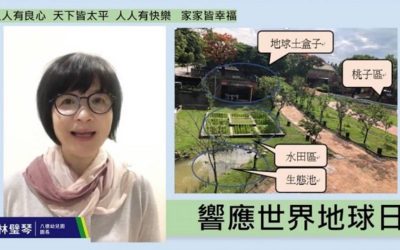 桃園八德幼兒園神奇土盒子　落實良心教育愛地球