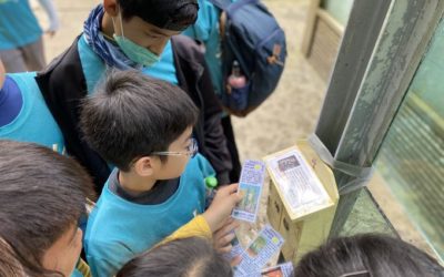 小木藝師上東眼暑期營隊　走訪東眼山認識森林