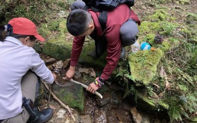 森林巡護特遣任務　福巴越嶺步道別錯過珍貴動植物