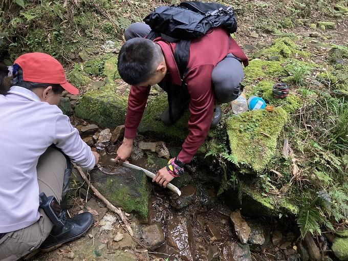 森林巡護特遣任務　福巴越嶺步道別錯過珍貴動植物