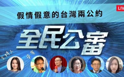 假情假意的台灣兩公約