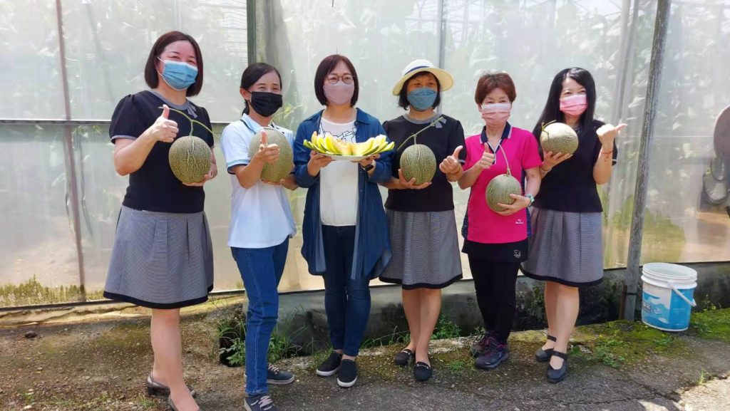 山區栽種極光品種洋香瓜比頭大 江曉琪卡蜜拉女王 山區栽種極光品種洋香瓜比頭大 江曉琪卡蜜拉女王