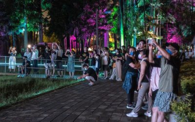 It’s party time! 嘉市光織影舞Disco派對主題光影秀　9/2限定加碼演出