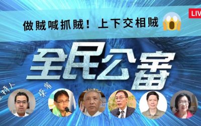 黑箱的國際審查 政府上下交相賊? 黑箱的國際審查 政府上下交相賊?