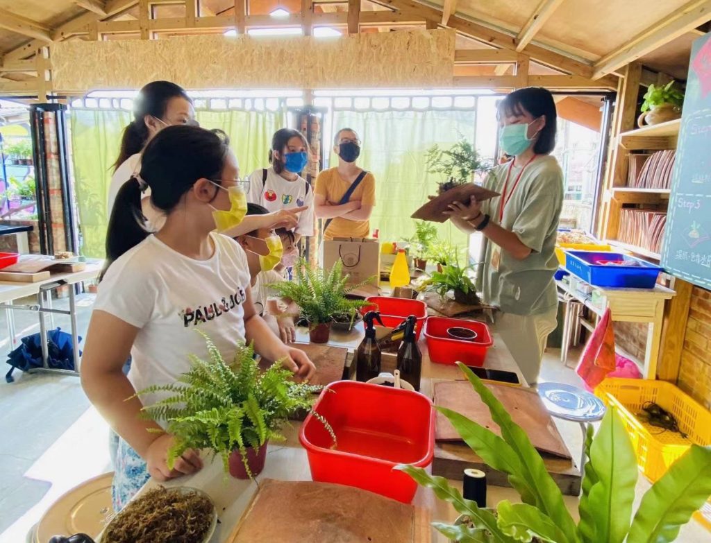 台灣好行菱波官田線免費搭 17歲生日快樂瘋玩仙境西拉雅 台灣好行菱波官田線免費搭 17歲生日快樂瘋玩仙境西拉雅