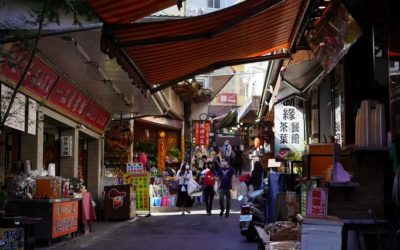 阿里山下最美小鎮　喝獨創茶飲遊森林步道