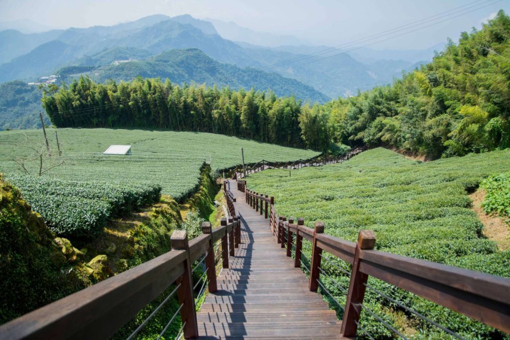 過年來嘉超好玩　八條人氣旅行路線任君挑選
