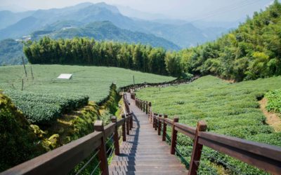 過年來嘉超好玩　八條人氣旅行路線任君挑選