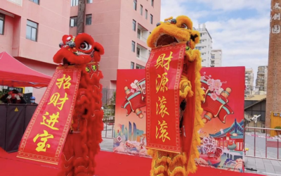 閩臺一家親歡喜迎新春　首屆閩臺“壹鷺花”花市年貨節