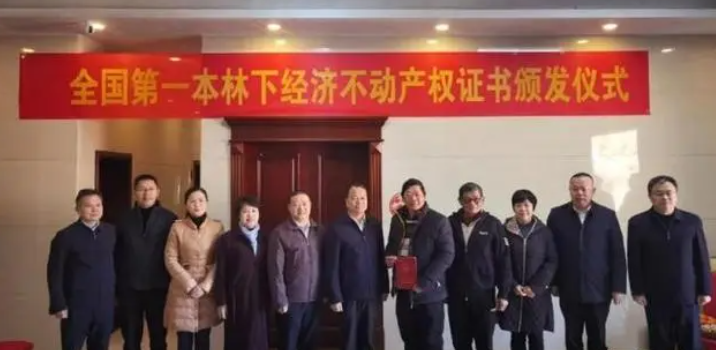 全國首本林下經濟不動產權證書 漳平發放台商 全國首本林下經濟不動產權證書 漳平發放台商