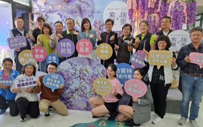嘉義瑞里紫色山城　紫藤花祭與遊客浪漫相約