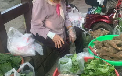 自種自賣童叟無欺一甲子 賣菜嬤蔡金定樂觀助人利他人生 自種自賣童叟無欺一甲子 賣菜嬤蔡金定樂觀助人利他人生