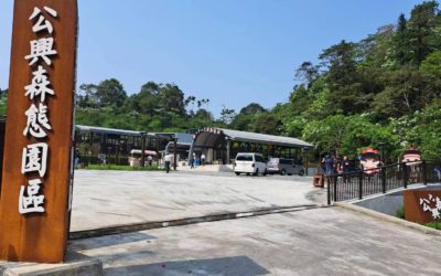 賞油桐花螢火蟲與國鳥藍腹鷴不期而遇　阿里山公路上新祕境土匪山公興森態園區