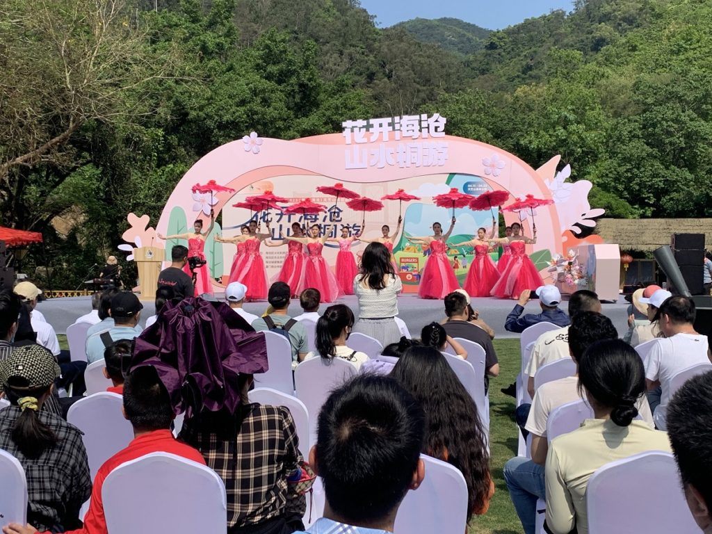 天竺桐趣 浪漫桐賞 花開海滄 山水桐遊 天竺山桐花旅遊節 天竺桐趣 浪漫桐賞 花開海滄 山水桐遊 天竺山桐花旅遊節