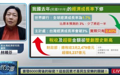 突破台灣經濟發展挑戰　經濟顧問林曉芬提建言