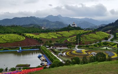 鄉村振興瀟湘茶行　兩岸媒體來湘聯訪走進安化