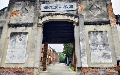 湖南安化第一茶廠提升黑茶品牌價值　茶旅融合發展新動能