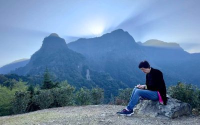 嘉義梅山寒溪呢人文叡地　是賞花盛地更是能量園區