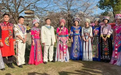 櫻約建始　武漢遇見「黃四姐」