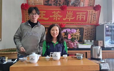 瑞里山區歐式城堡高帝園茶業民宿　「女茶王」為您奉茶歡迎賞紫藤花螢火蟲