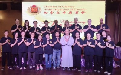 他用行動讓功夫夢照進現實　訪嵩山少林寺禪武醫優秀傳承人釋延英