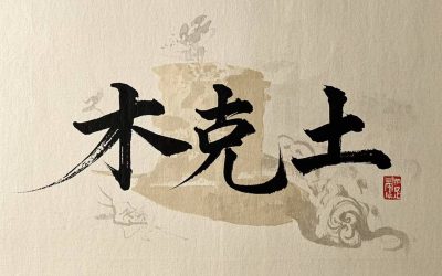 【王醫師專欄三】“加味”與”不加味”逍遙散都不是女人的權利／王昭文