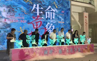 童畫綻放生命之美！第16屆兩岸少兒美術大展廈門巡展開幕